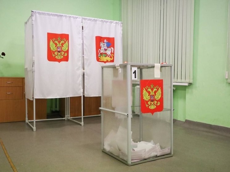 Сегодня второй день голосования на выборах депутатов Совета депутатов Серпухова
