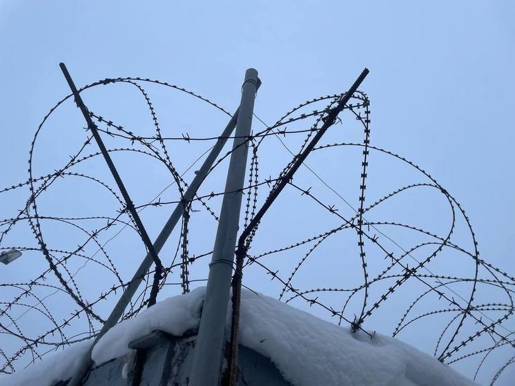 Апатитчанин ударил знакомого гвоздодером по голове из-за рабочего конфликта