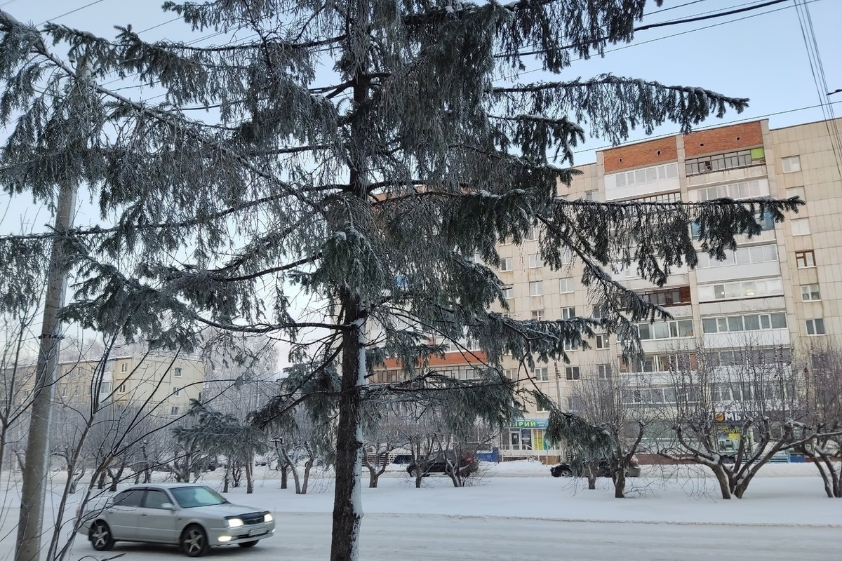 В Томске 11 декабря ожидается - 28 градусов