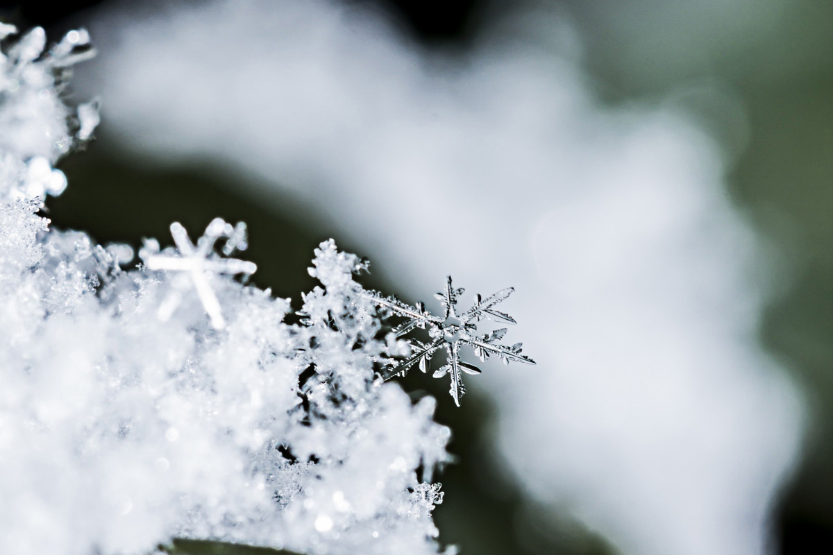 11 декабря в Ивановской области ожидаются умеренный снег и метель