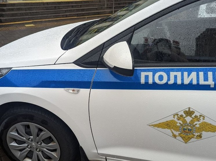 Полиция задержала ленинградца, устроившего поножовщину в деревне Пески