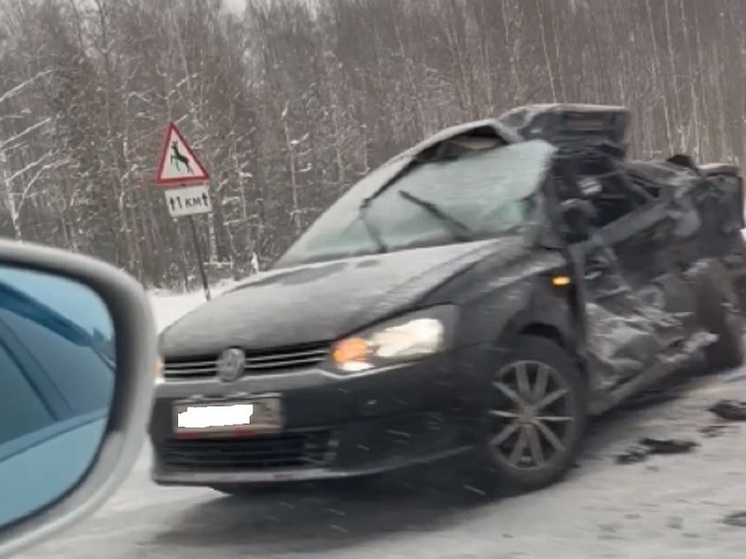 В Ярославской области произошло новое ДТП со смертельным исходом