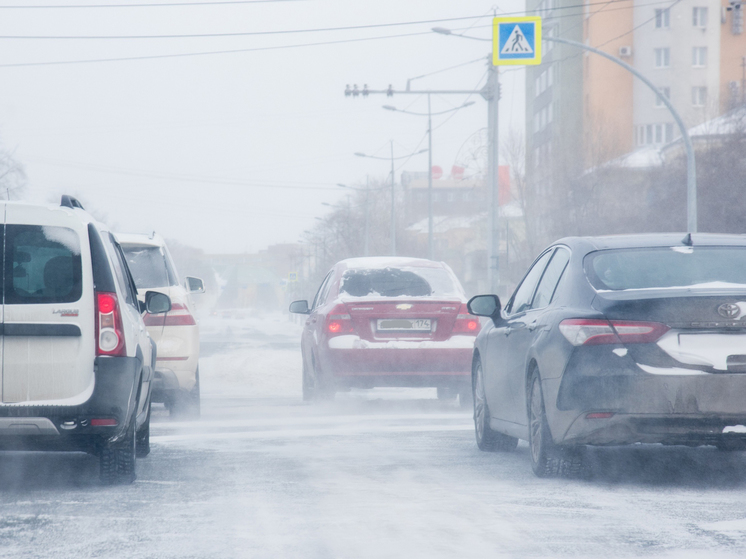 В Челябинской области досрочно отменили занятия в школах
