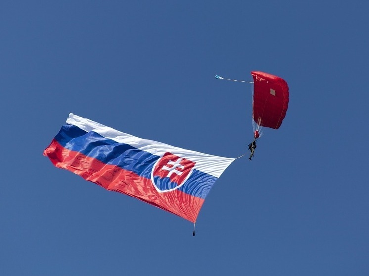 В Таллине полицейские перепутали флаги России и Словакии