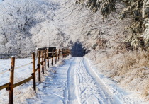  Сегодня, 11 декабря, в Республике Бурятия ожидается переменная облачность, местами -  небольшой снег