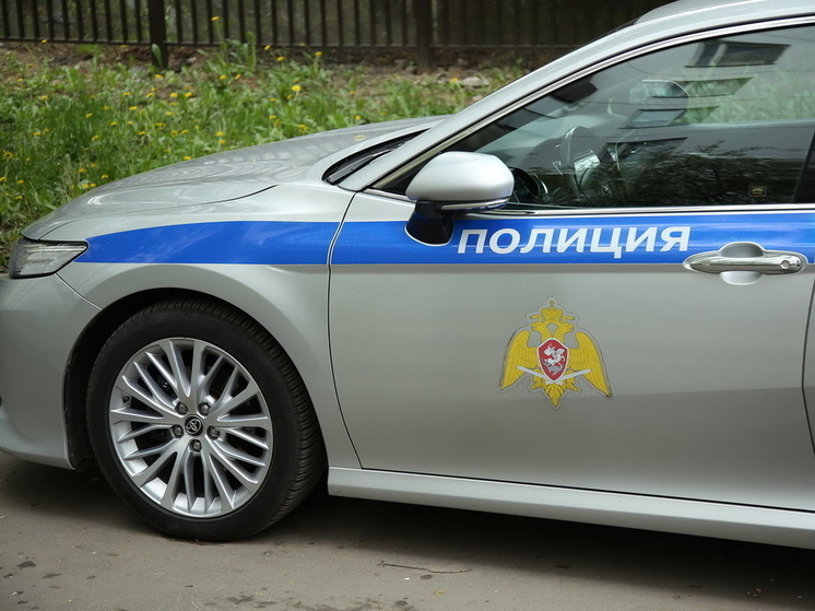 Житель Подмосковья пожаловался в полицию на карту с флагом Украины