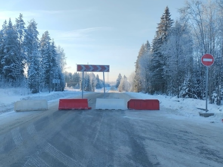 В Новгородской области временно перекрыли участок дороги Любытино-Неболчи