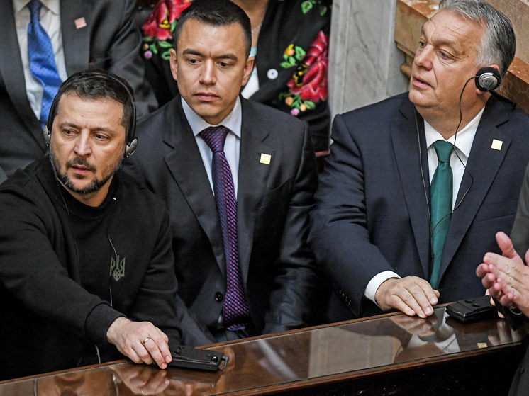 Bloomberg: разговор Зеленского с Орбаном в Аргентине длился 10-15 минут