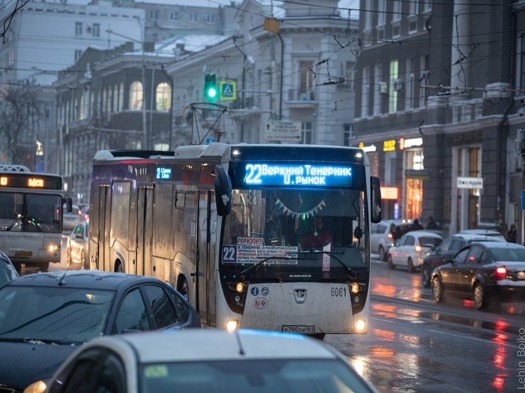 В Ростове из-за гололеда 11 декабря люди не смогли добраться на работу
