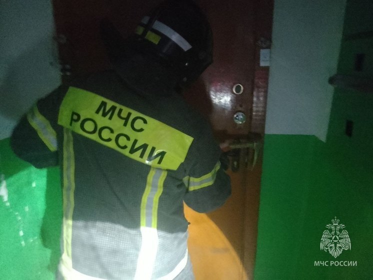  За прошедшие сутки спасатели Херсонщины ликвидировали один пожар
