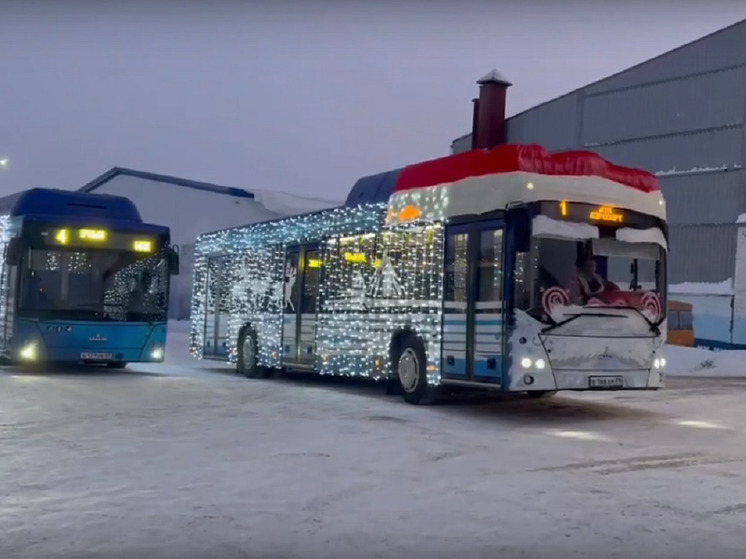 Деды Морозы на новогодних автобусах перевозят пассажиров в Салехарде