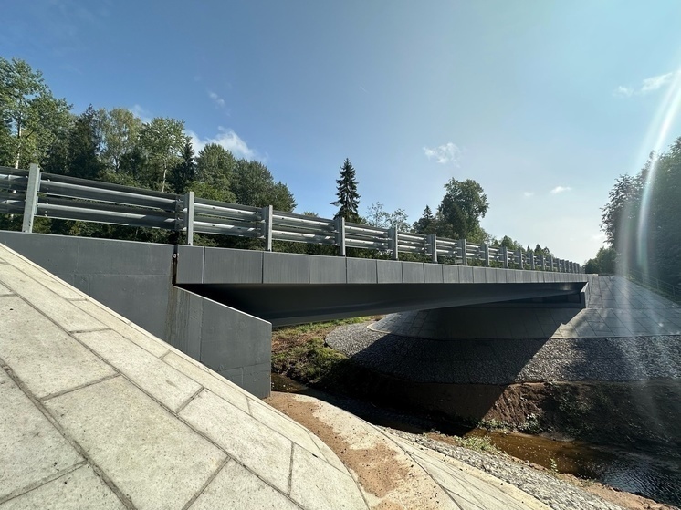В 2023 году в Новгородской области отремонтировали 16 мостов