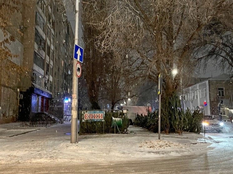 В Саратове заработал первый елочный базар