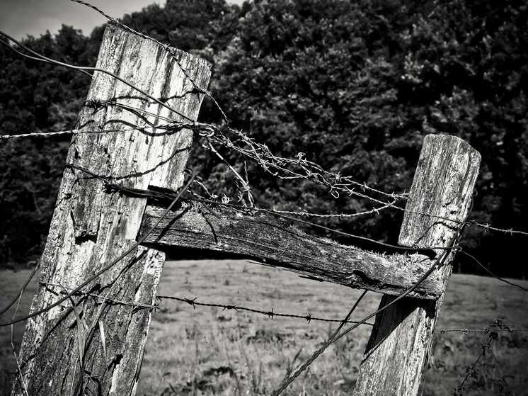 Забор скотомогильника рухнул под Петрозаводском