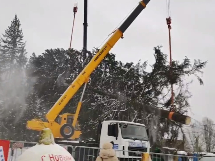 В городском округе Щелково спилили главную новогоднюю ель страны