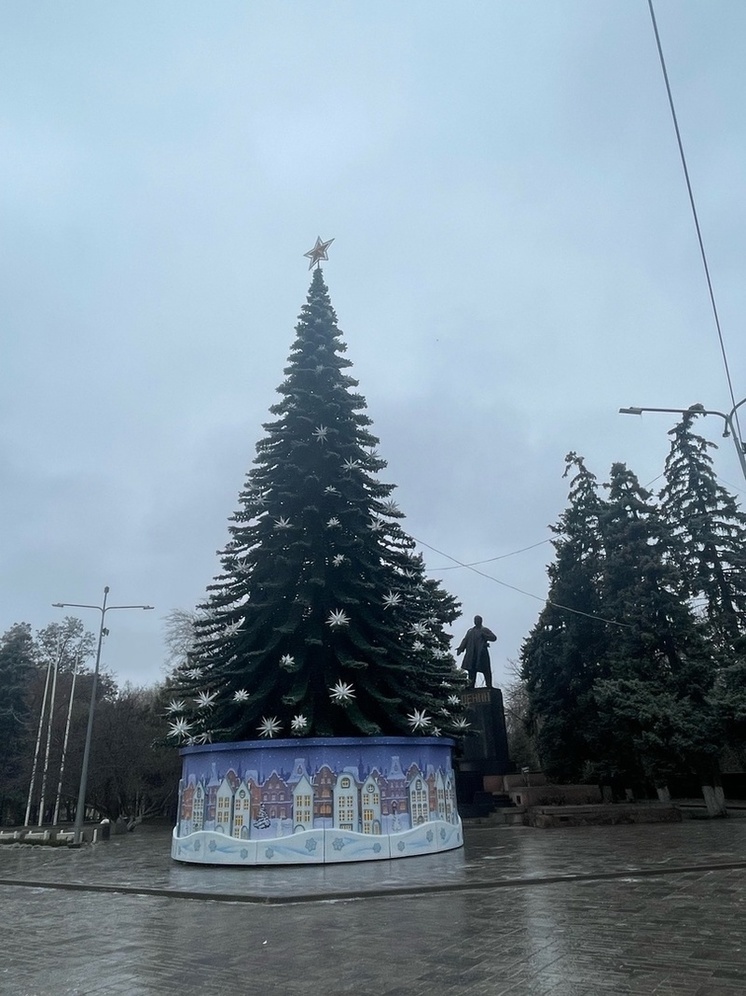 В Ростове установили главную Новогоднюю ёлку