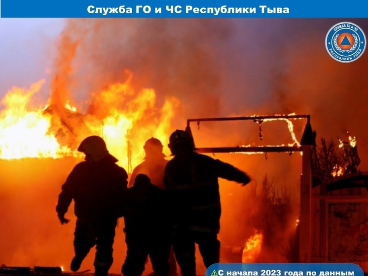 С начала года в Туве в пожарах погибло 16 человек