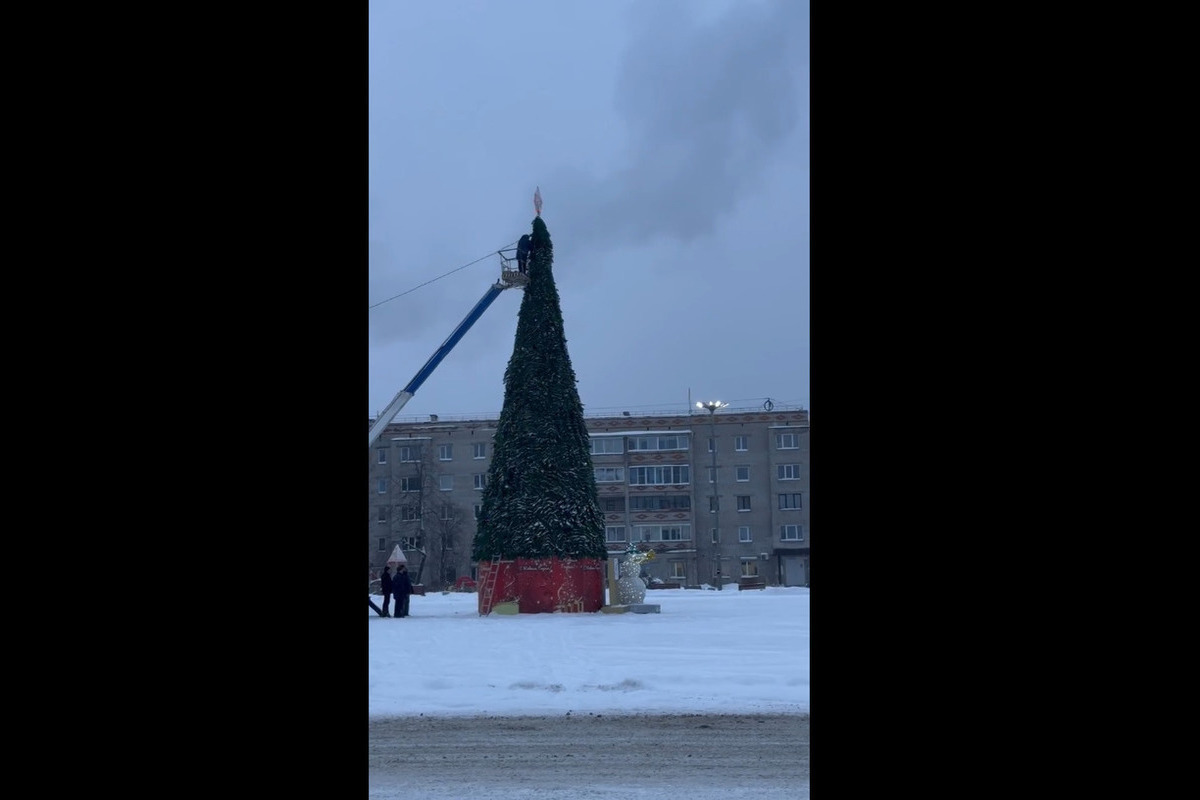 Гирлянды зажгли на главной елке в Медвежьегорске