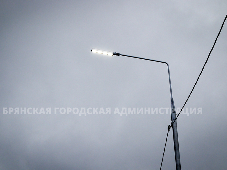 Свыше 12 тысяч светильников заменили на улицах Брянска
