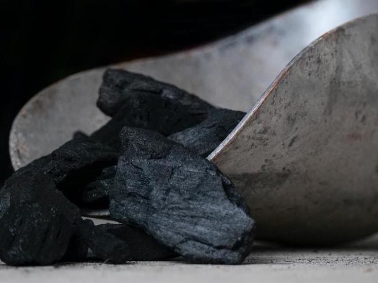 Глава Бурятии потребовал прислать ему фото запасов угля в муниципальных котельных