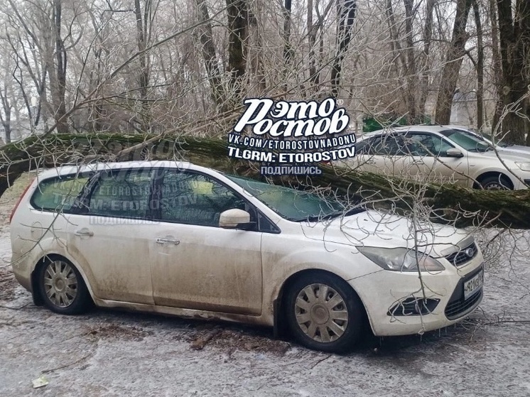 В Ростове на Шолохово дерево рухнуло на автомобиль