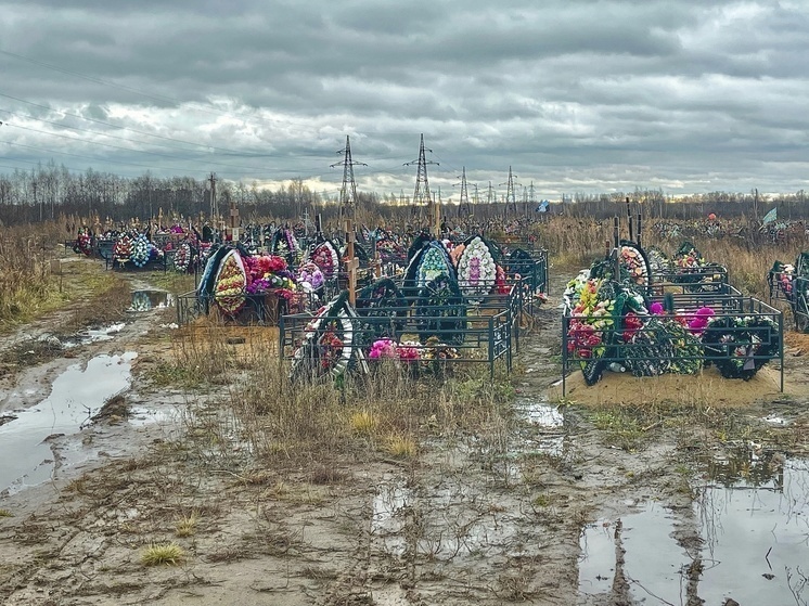 В Ярославле заканчиваются места на Осташинском кладбище