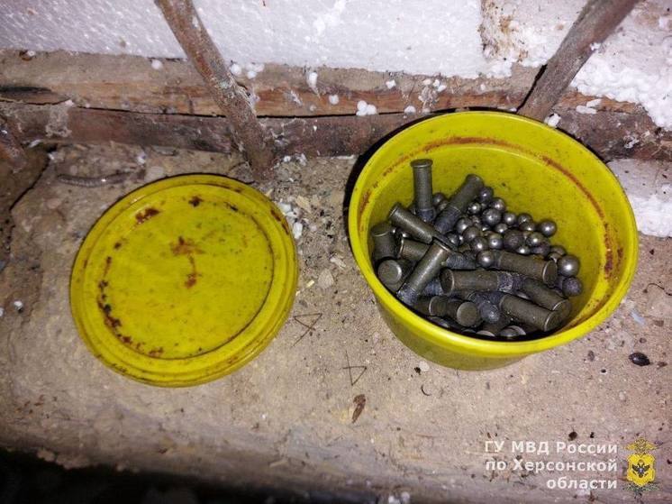 Полицейские обнаружили у жителя Херсонской области патроны и коноплю