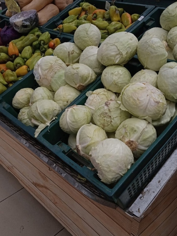 В ДНР планируют нарастить собственное производство овощей