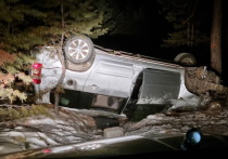 Днем 11 декабря в Хоринском районе Бурятии 36-летний водитель «Тойоты Саксид» не справился с управлением, съехал с дороги и врезался в дерево