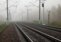 Двух человек сбил поезд в ночь на вторник в Зеленограде