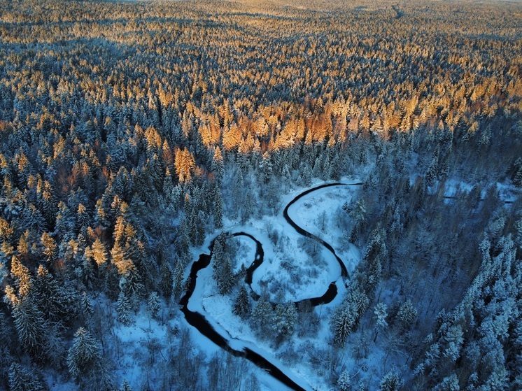 В Индии открылась выставка фотографий с видами Новгородской области