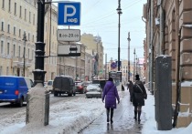 Пользователям платной парковки рассказали, какие улицы затронет уборка снега 12 декабря. Полный список размещен на сайте ГКУ «Городской центр управления парковками Петербурга».