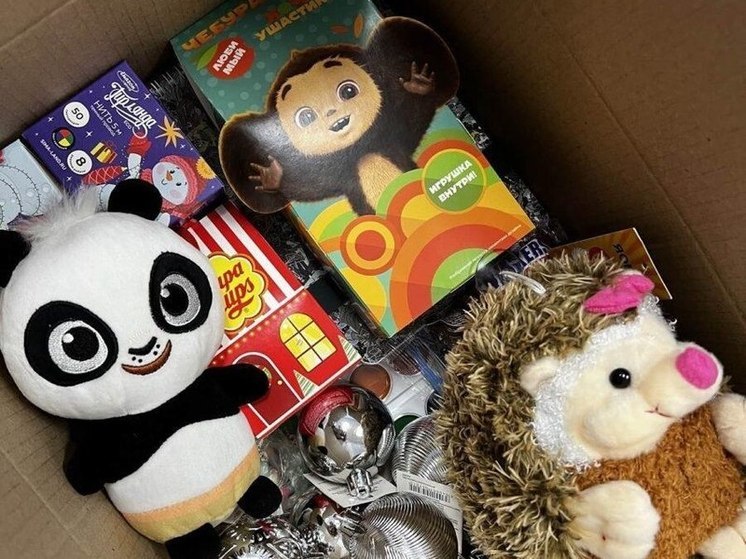 Свердловский музей собрал помощь для детей Макеевки