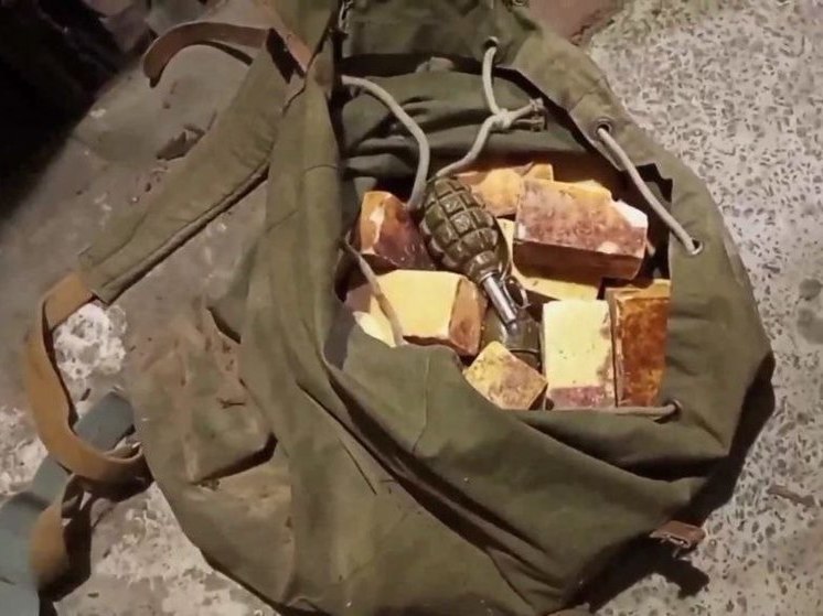 В Запорожской области нашли очередные схроны с боеприпасами
