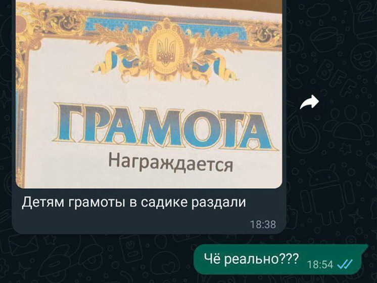 Грамоты с гербом Украины привели к увольнению сотрудников детсада