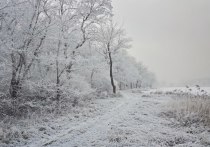 Морозы в регионе не спадут до 15 декабря, сообщили в пресс-службе ГУ МЧС России по Омской области