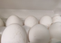 Губернатор Оренбургской области ответил на вопрос о стоимости яиц