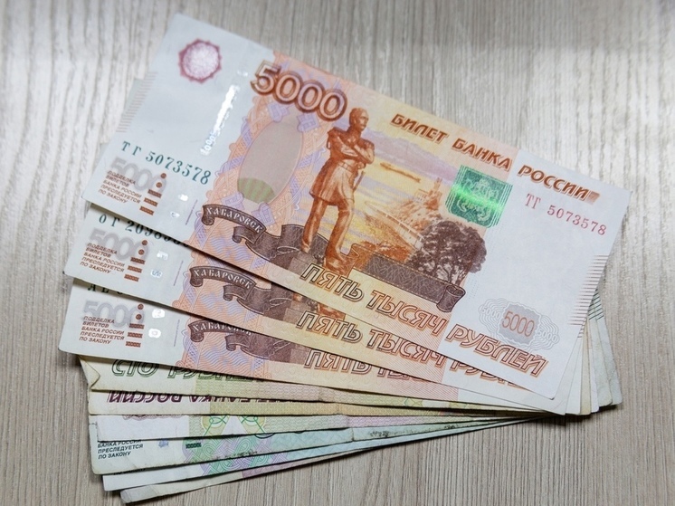 Новосибирская область увеличила собираемость налогов до 95%