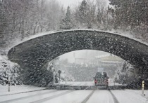 Циклон «Ваня» принесет в Москву самый снежный день за 60 лет