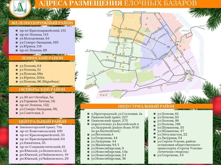 В мэрии Барнаула назвали адреса елочных базаров