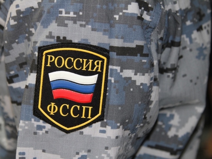 Житель Новосибирской области задолжал тройняшкам алименты за 13 лет