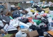 Жители Ревды, Первоуральска и Красноуфимска пожаловались на горы мусора, который скопился на контейнерных площадках