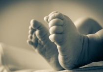 Реестр ЗАГС обновил данные об именах, которые дали своим новорожденным детям омские родители