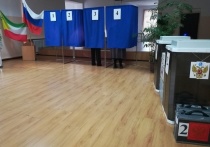 В Забайкальском крае на выборах президента России в марте 2024 года не будут применять технологии дистанционного электронного голосования (ДЭГ)