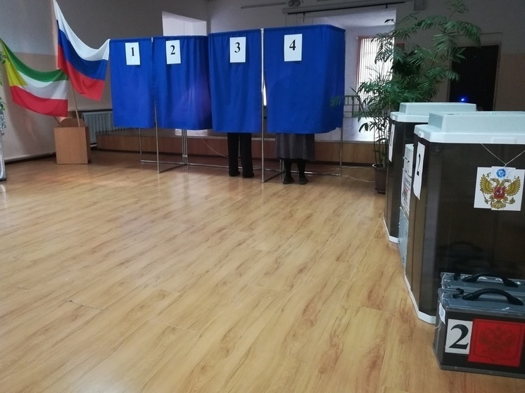 В Забайкалье не будут дистанционно голосовать на выборах президента РФ