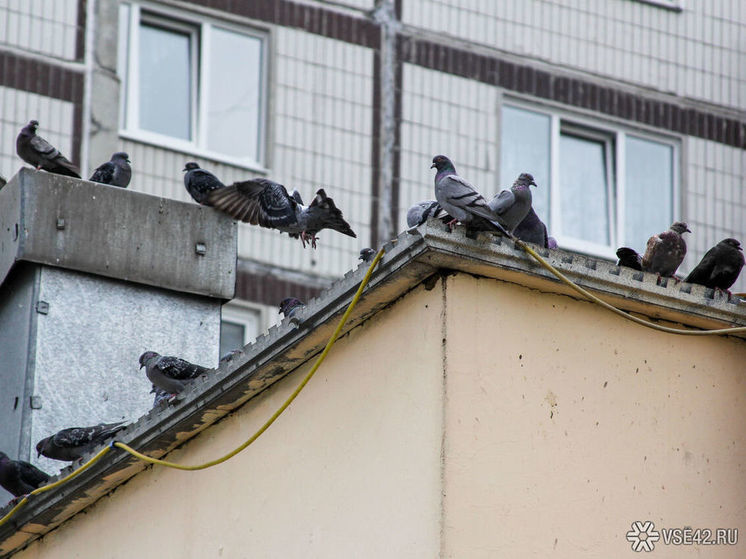 Погодные условия замедлили починку крыш после урагана в Новокузнецке