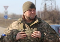 Масштабное возведение фортификационных сооружений позади линии фронта закипело на Украине