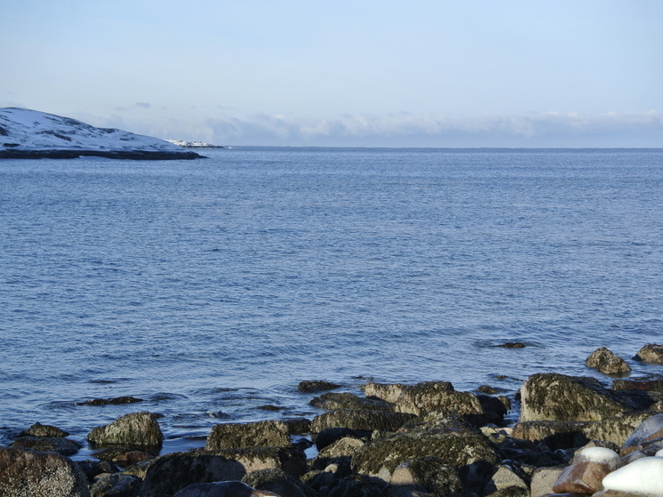 У берегов Кольского Заполярья нашли микропластик из США, Норвегии и Исландии