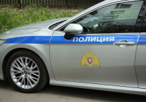 Жительницу москвы задержали за кражу айфона в автобусе