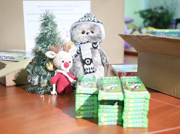 Воспитатели садика из Мужей собрали новогодние подарки для малышей из поселка Волновахского района
